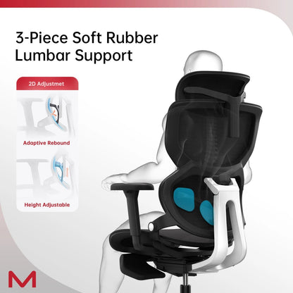 Ergonomic Office Chair with Footrest and Lumbar Support, Reclining High Back Computer Chair for Home Office