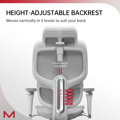 High Back Ergonomic Mesh Office Chair, Self-Adaptive Lumbar Support Computer Chair for Home Office All Day Use